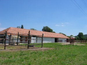 Reiterhof in Ungarn Reiterhof in Ungarn