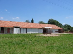 Pferdestall Reitstall der Reitanlage in Südungarn Pferdestall Reitstall der Reitanlage in Südungarn