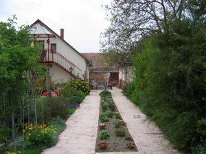 Grundstück vom Wohnhaus der Reitanlage Grundstück vom Wohnhaus der Reitanlage