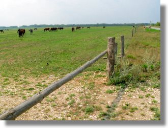 Grundstück für Landwirtschaft in Ungarn zum Kaufen Grundstück für Landwirtschaft in Ungarn zum Kaufen