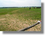landwirtschaftliche Flächen in Ungarn landwirtschaftliche Flächen in Ungarn