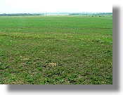 Äcker in Ungarn kaufen Äcker in Ungarn kaufen