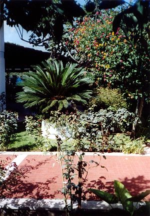 Garten vom Einfamilienhaus in Nettuno Italien