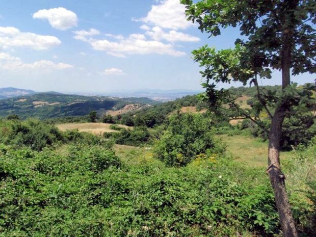 Toskana Grundstck bei Vallerona in der Provinz Grosseto
