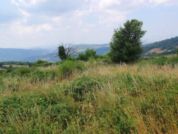 Bauland Grundstck bei Vallerona der Toskana