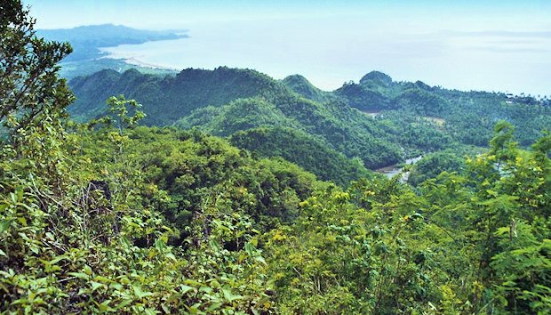 Grundst�cke am Meer auf Negros Philippinen