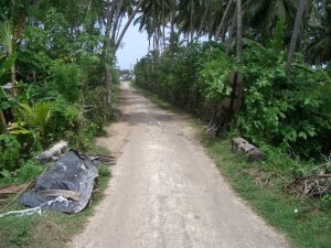 Zuweg vom Grundstck zum Meer