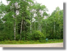 Nachbargrundstück vom Ferienhaus am River Nachbargrundstück vom Ferienhaus am River