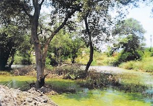 Grundst�ck in Santa Fe bei Puerto La Cruz Sucre von Venezuela