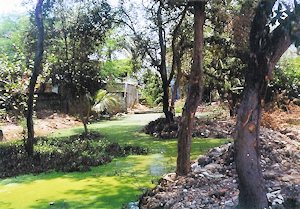 Baugrundst�ck in Santa Fe bei Puerto La Cruz Sucre von Venezuela