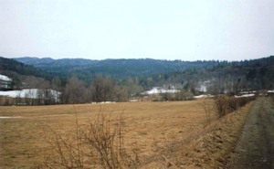 Wiese Ackerland Karpatenvorland Leski