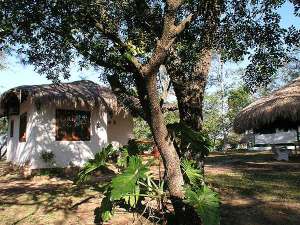 Bungalows der Hotelanlage