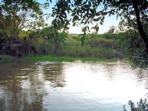 Teich auf dem Grundstck der Villa