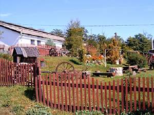 Viehfarm Ungarn zum Verkauf Kauf