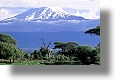 Immobilien in Afrika Grundstcke in Tansania kaufen vom Immobilienmakler
