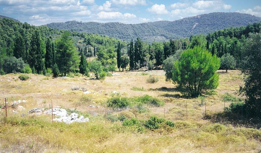 Insel Skopelos Grundst�ck zum Kaufen in Griechenland