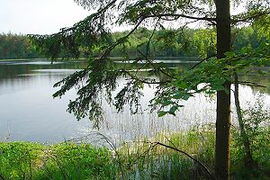 See am Ackerland Grundst�ck in Trzynik