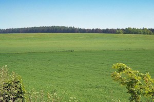 Grundst�ck Ackerland inTrzynik bei Siemysl