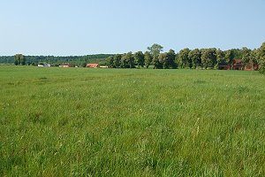 Westpommern Ackerland Grundst�ck Trzynik der Gemeinde Siemysl Polen
