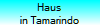 Haus
in Tamarindo