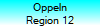 Oppeln
Region 12