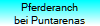Pferderanch
bei Puntarenas