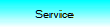 Service