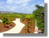 Garten der Villa auf Bonaire