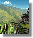 Grundstcke Farmen in Bolivien kaufen vom Immobilienmakler