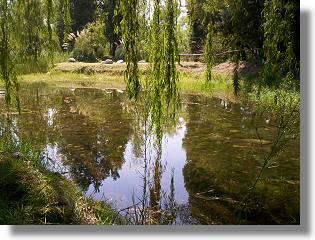 Grundst�ck vom Haus in Las Rosas