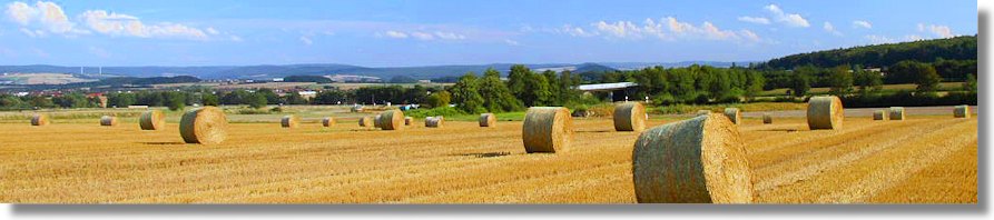 Farmland Agrarland in Rumnien