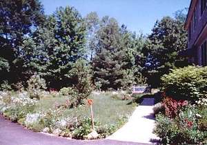 Vorgarten vom Einfamilienhaus