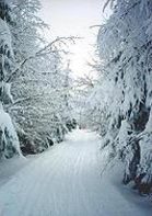 Stra�e zum Einfamilienhaus