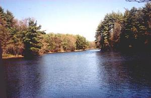 Grundst�ck vom Einfamilienhaus mit Uferfront