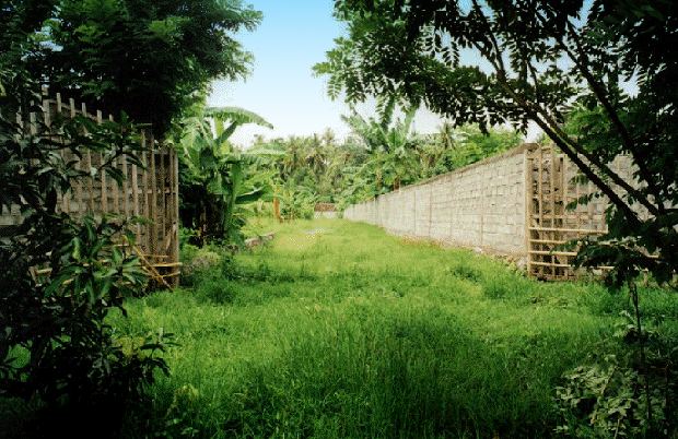 Weg zum Baugrundst�ck