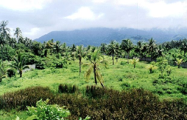 Buleleng Baugrundst�ck auf bali