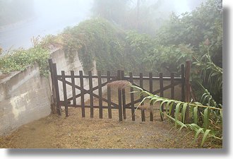 Baugrundstcke in Zagora Pilio Griechenland zum Kaufen
