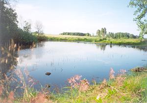 Grundstck mit See in Gropolen