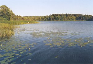 Grundstck am See in Gropolen