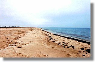 Jewpatorija Grundstücke der Insel Krim Russland zum kaufen Jewpatorija Grundstücke der Insel Krim Russland zum kaufen