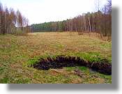 Grundstck am Fluss Gwda in Polen kaufen vom Immobilienmakler