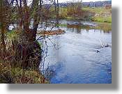 Fluss Gwda nah der Grundstcke