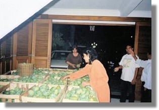 Mangoplantage mit Wohnhaus zum Kaufen vom Immobilienmakler auf Java