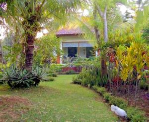 Garten vom Einfamilienhaus