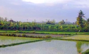 Umgebung vom Ferienhaus