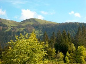 Umgebung der Pension