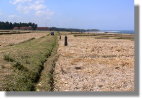 Bali Grundst�ck kaufen bei Pekutatan und Pulukan