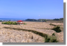 Grundst�ck nah am Strand und Meer bei Pekutatan Bali