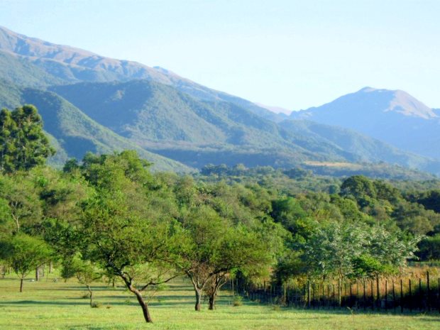 Pferderanch mit Koppel und Weideland bei Salta Argentinien