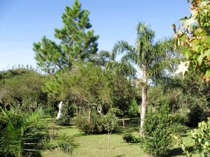 Grundst�ck vom Ferienhaus